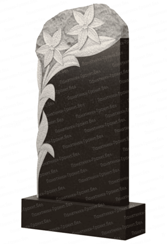 Памятник Гродно изображение